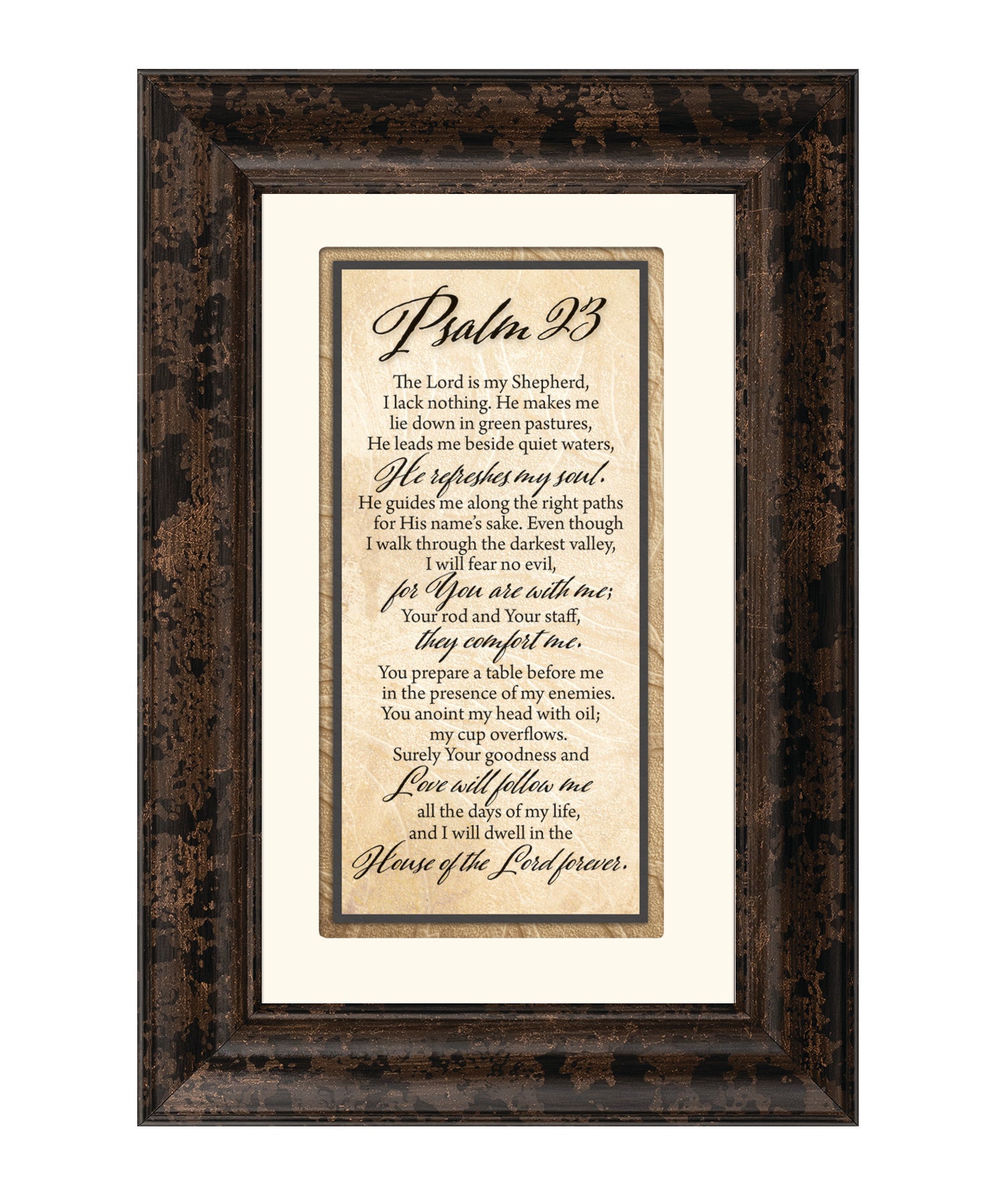 Psalm 23 8.5x12.5 Framed Art