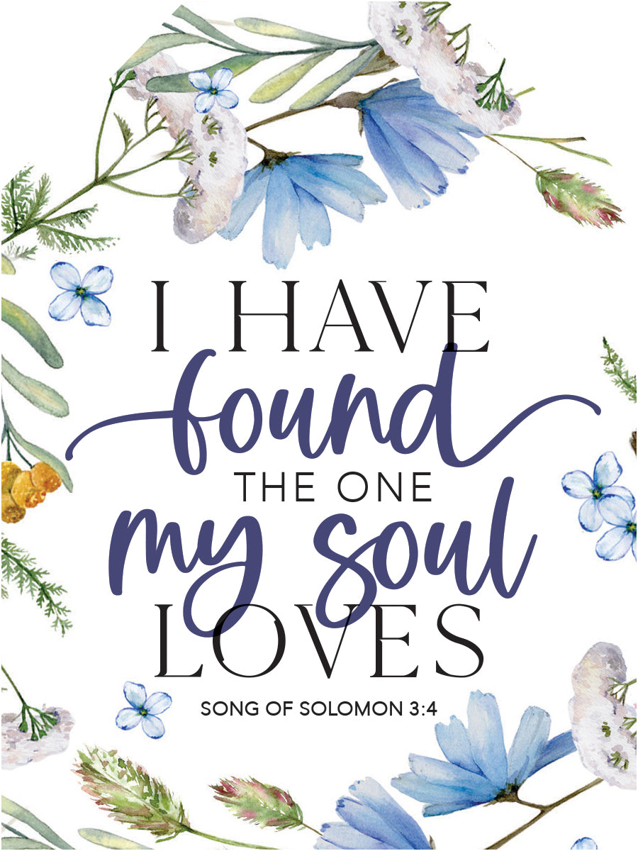 My Soul Loves Magnet