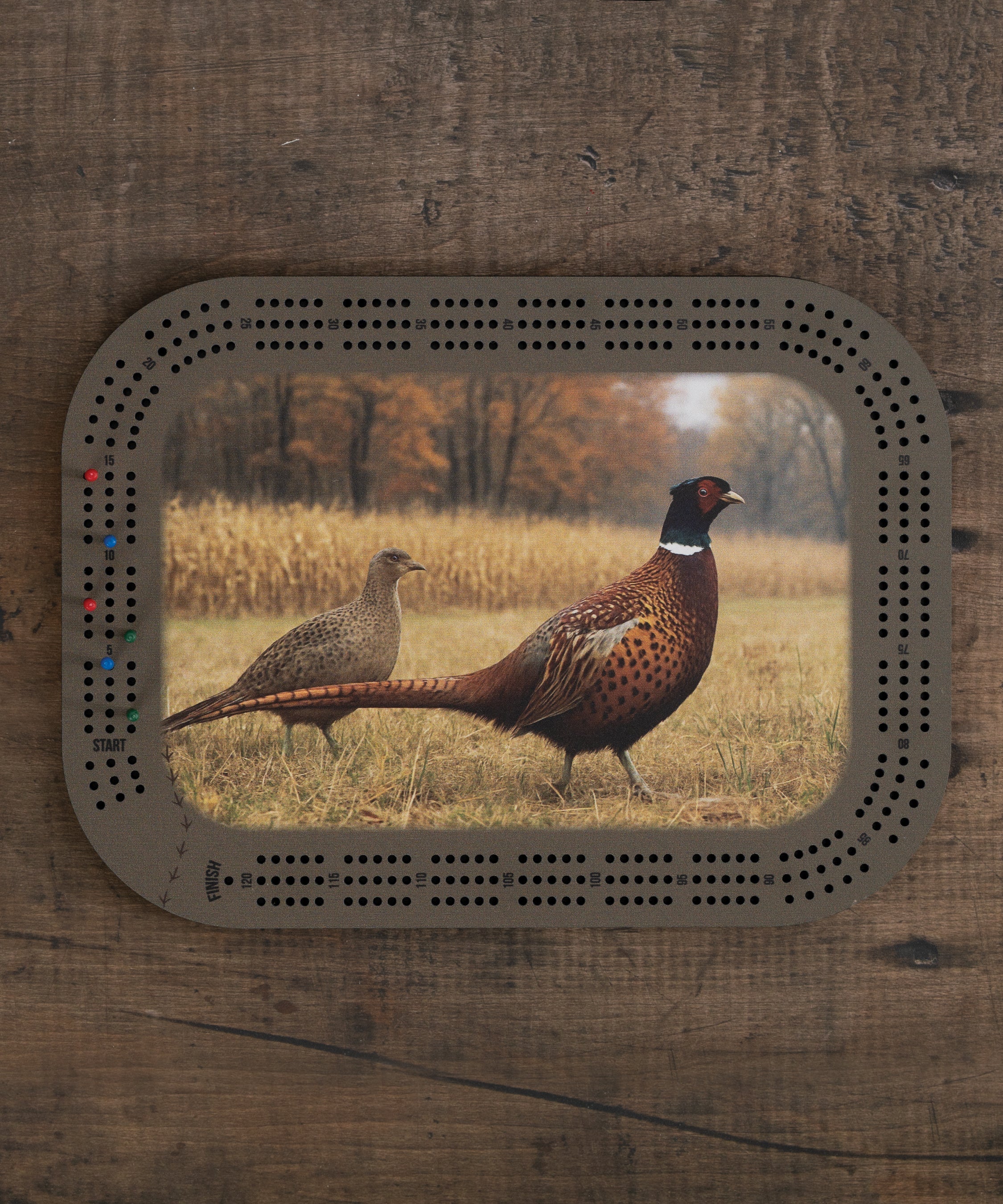 Pheasant cribbage board with male and female wildlife artwork, green and brown design, and built-in peg storage