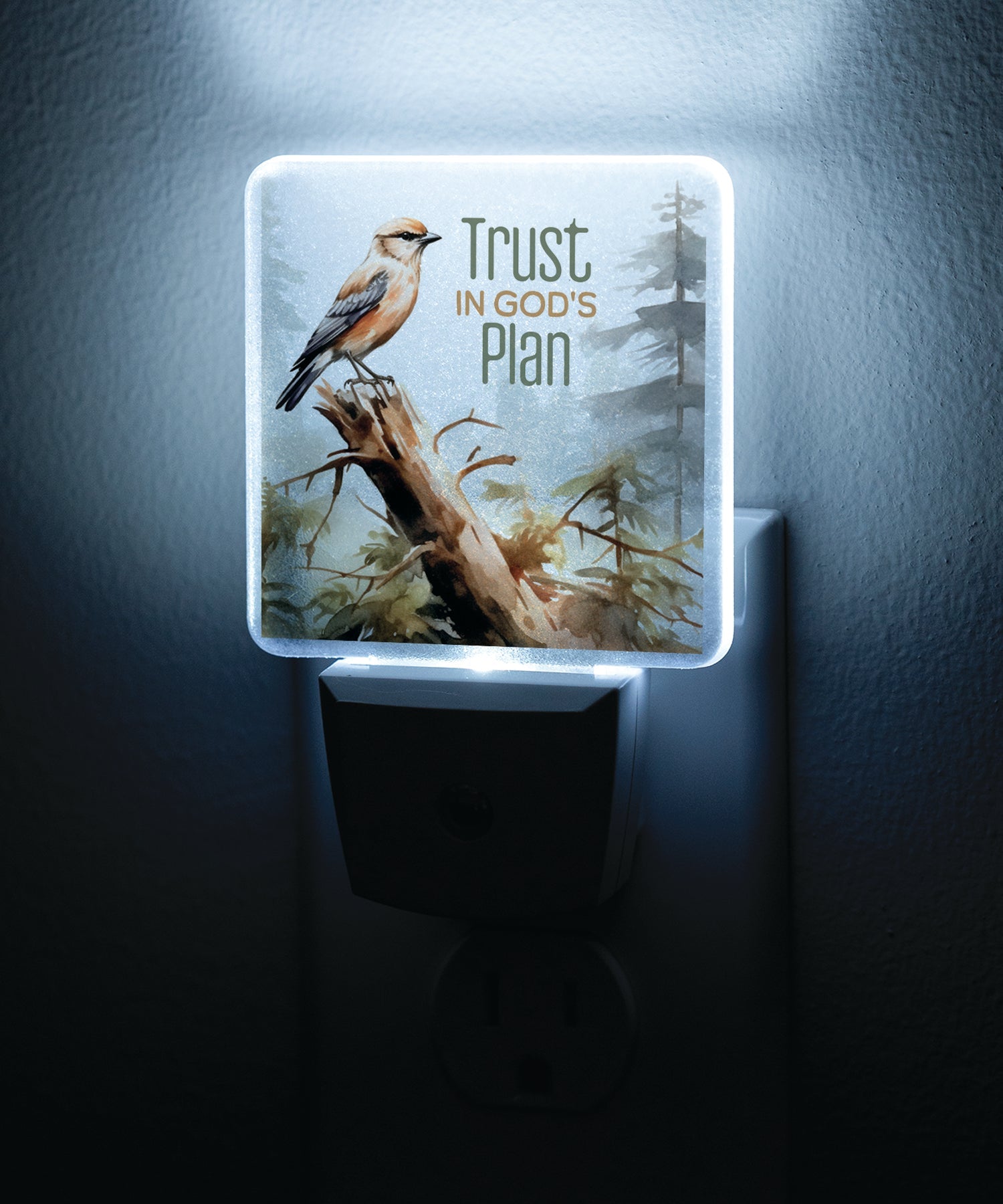 Trust in God’s Plan LED Nightlight