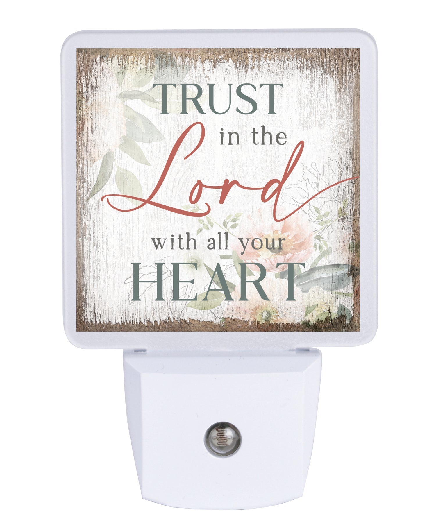 Trust in the Lord LED nightlight with faith verse, auto-on LED light and standard plug