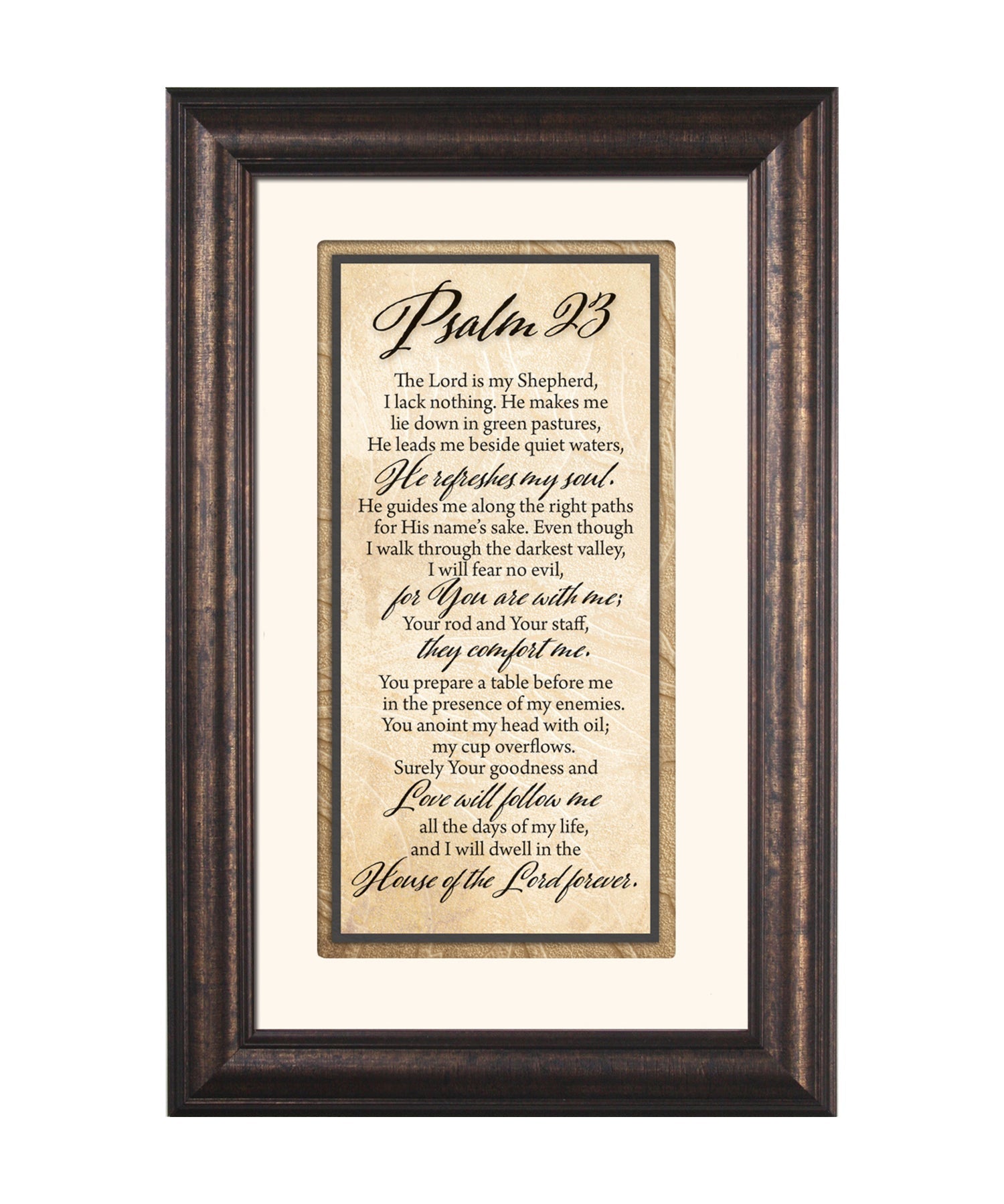 Psalm 23 Framed Art