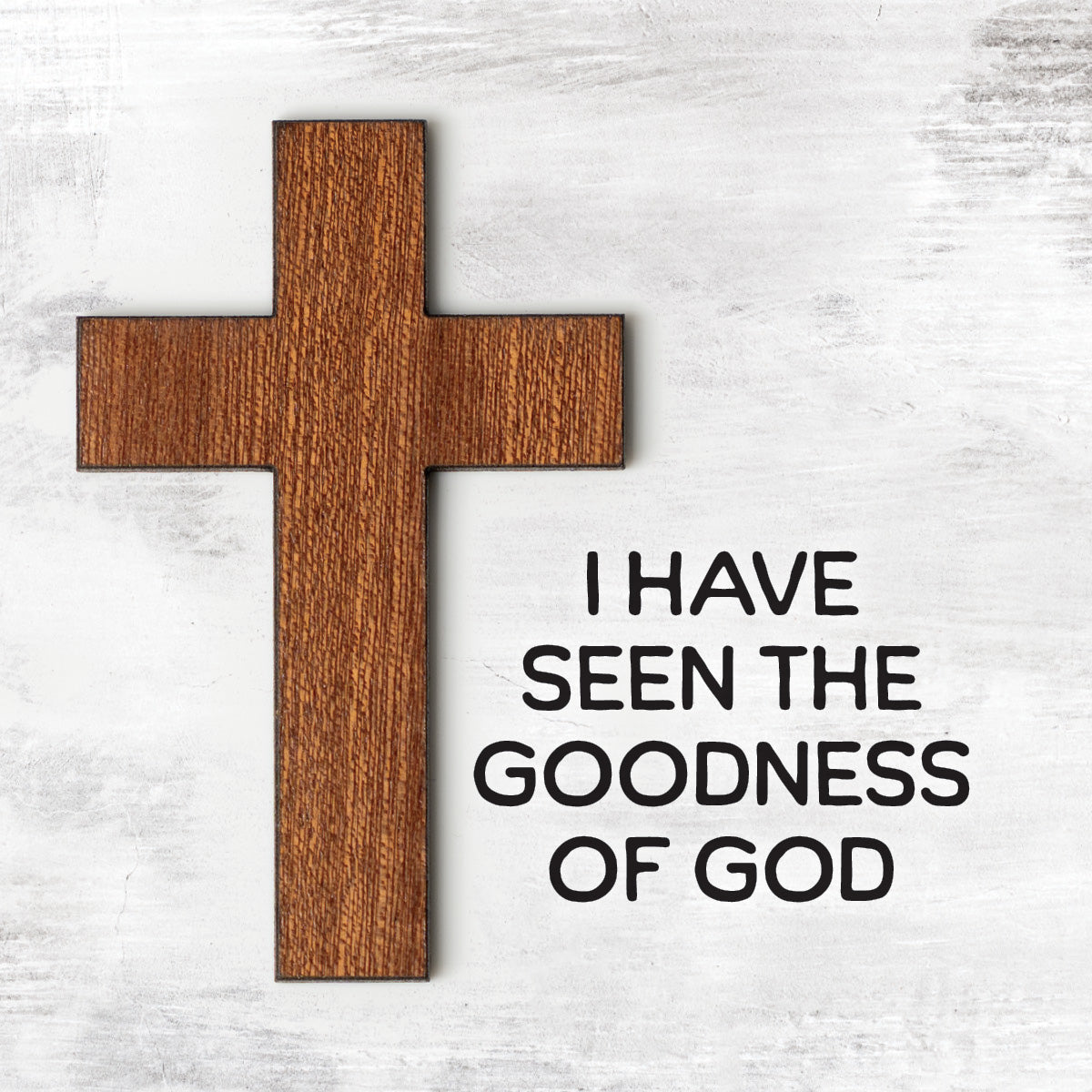 I Have Seen the Goodness Magnet-Plaque