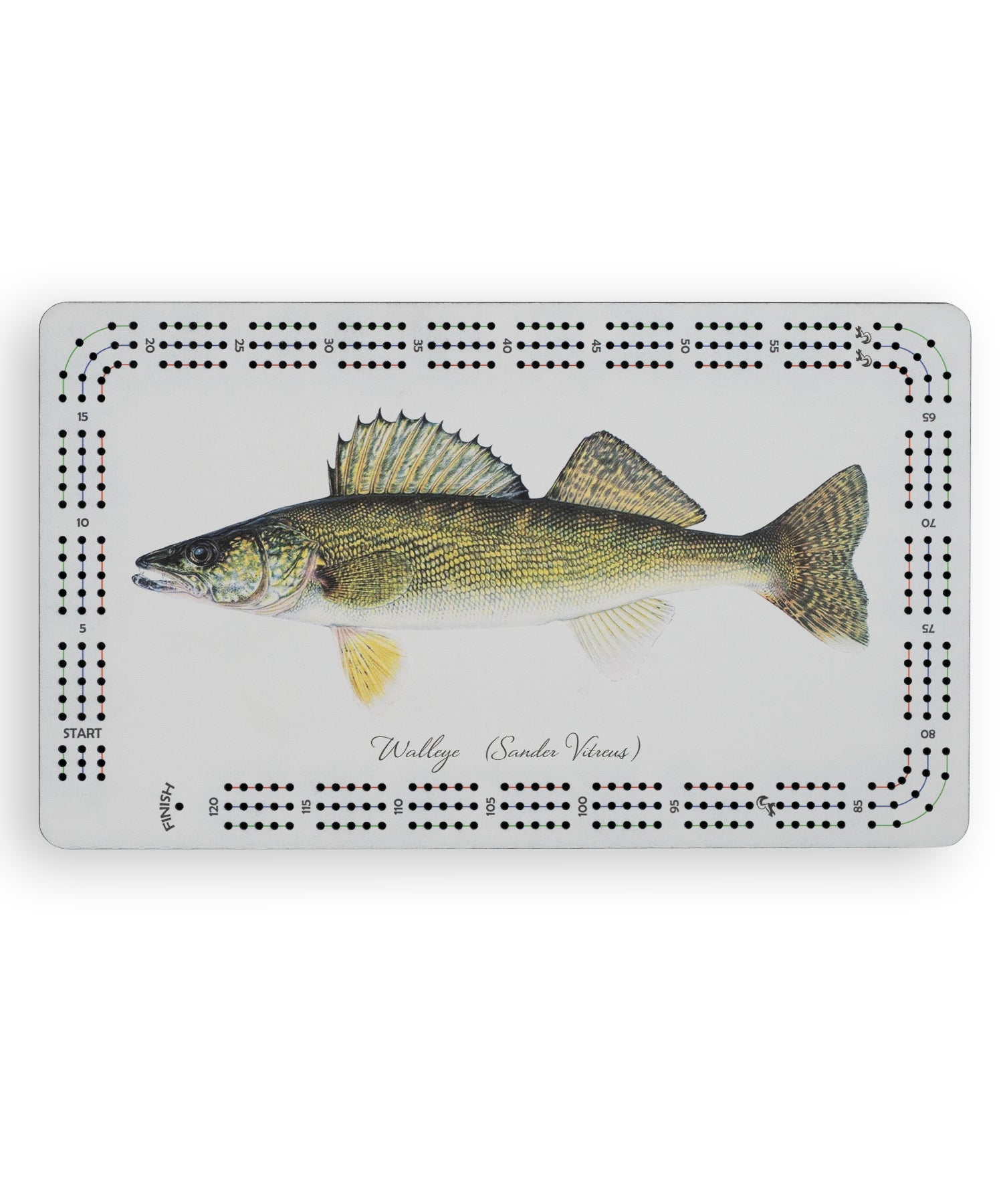 Walleye Cribbage Board